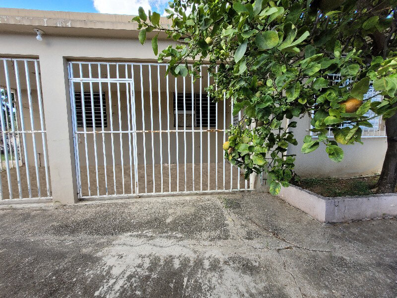Patio trasero