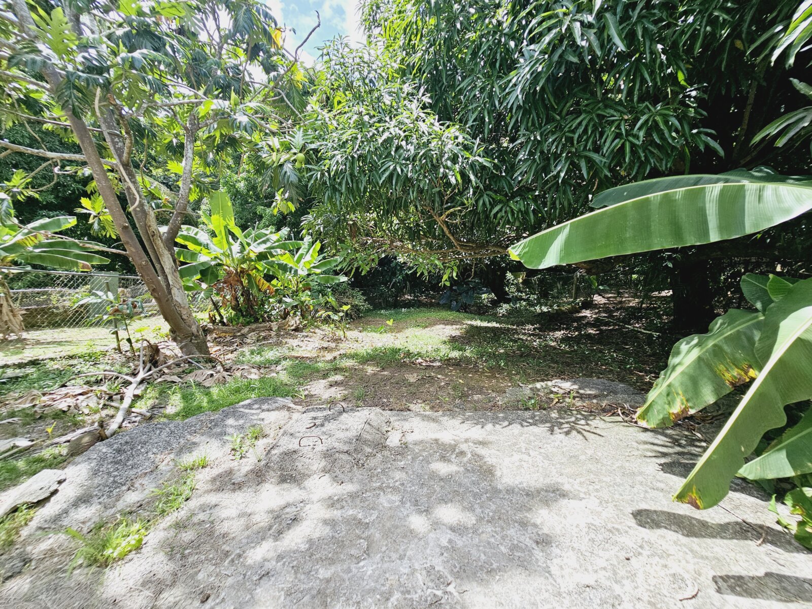 PATIO (1)