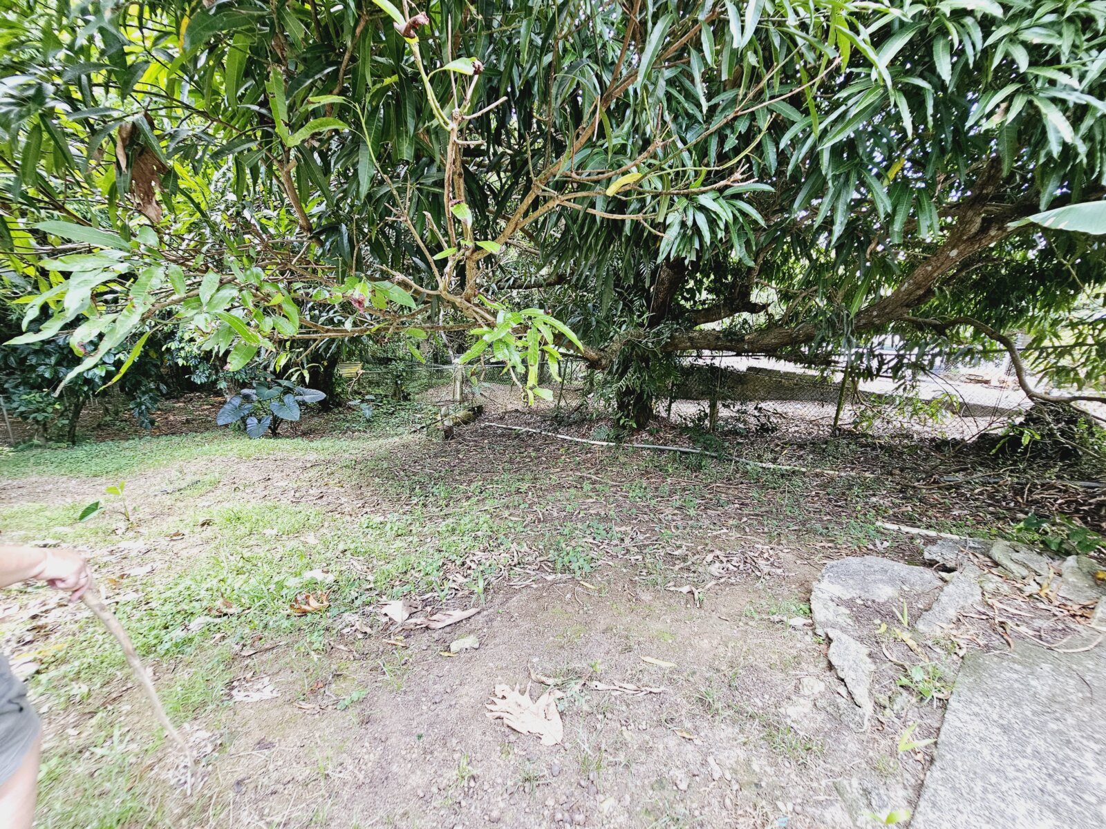 PATIO (2)