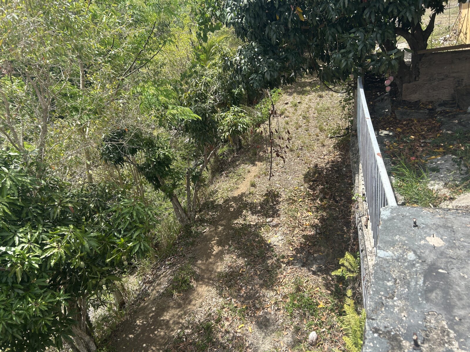 VISTA (10)