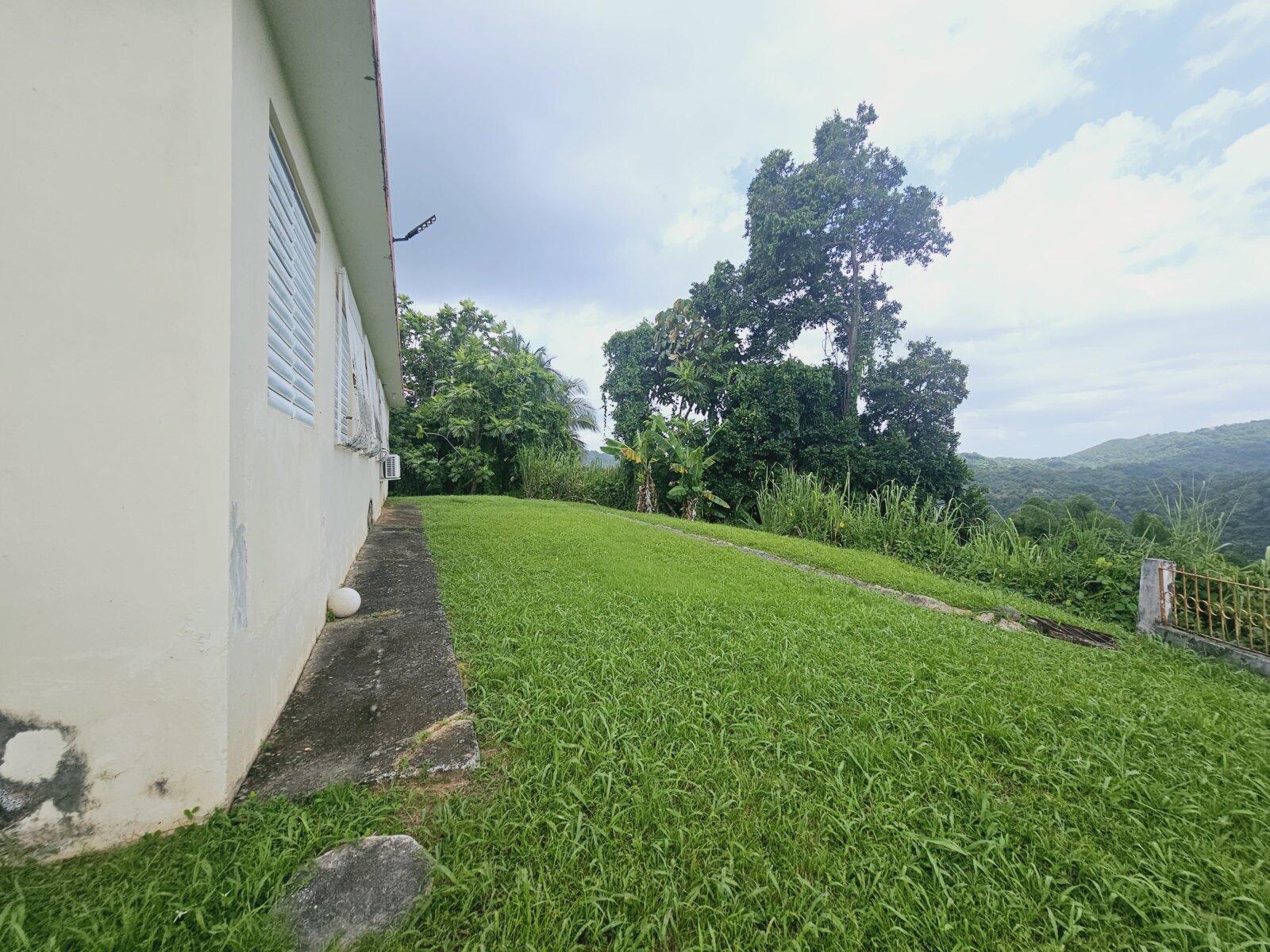 VISTA (11)