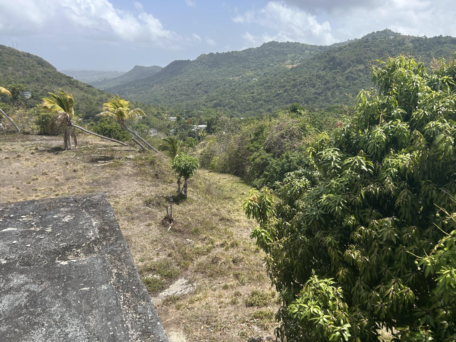 VISTA (11)