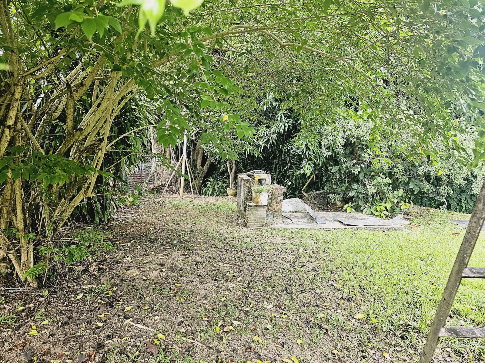 VISTA (13)