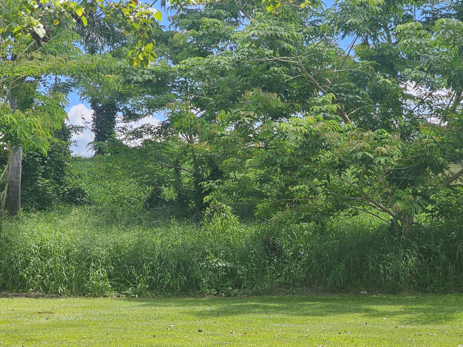 VISTA (1)