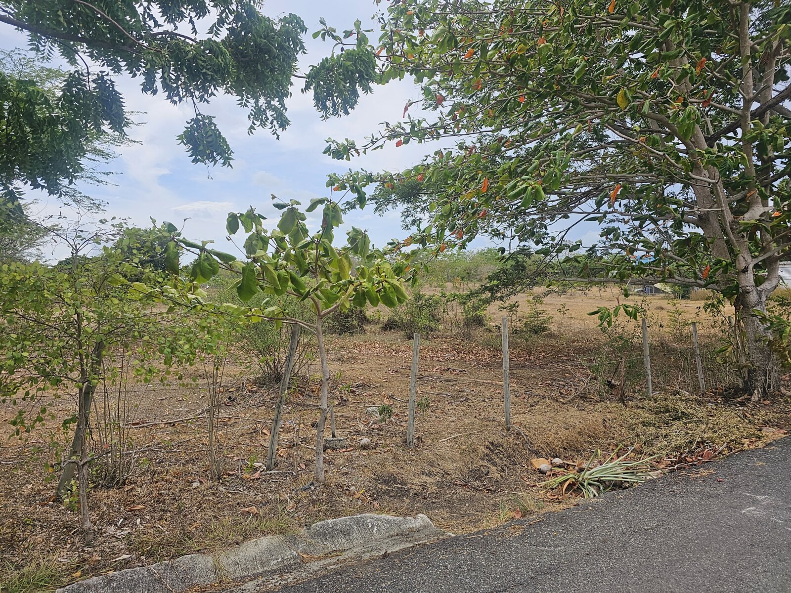 VISTA (2)