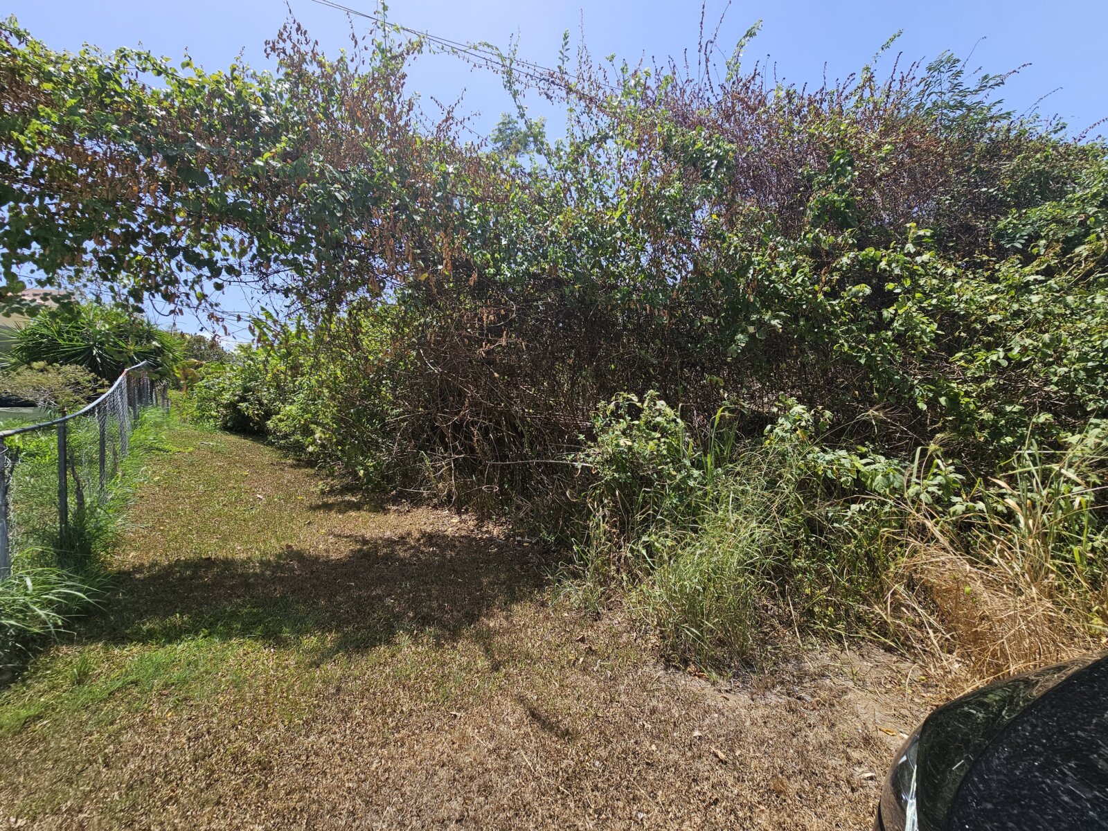 VISTA (2)