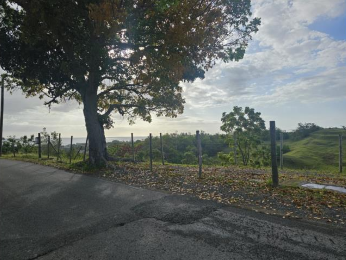 VISTA (2)