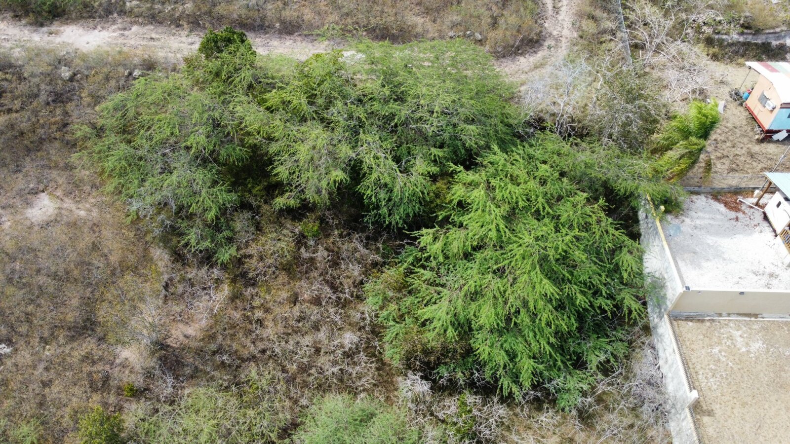 VISTA (2)