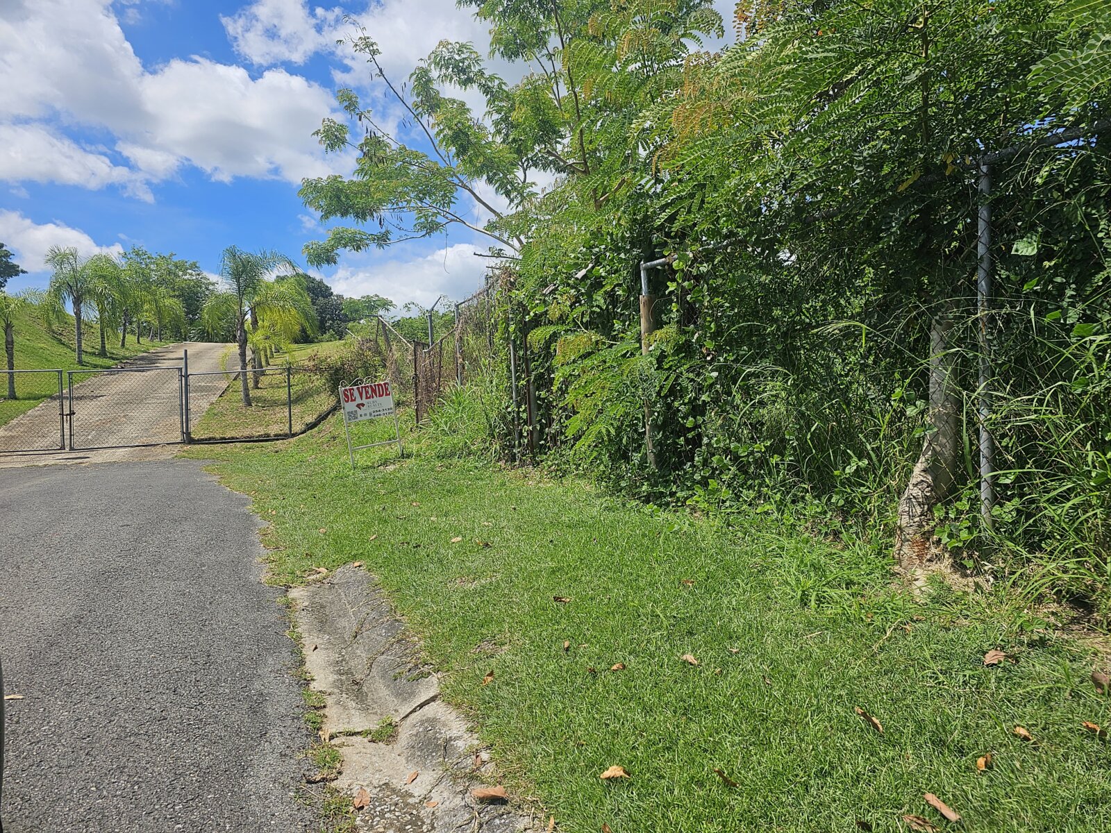 VISTA (3)
