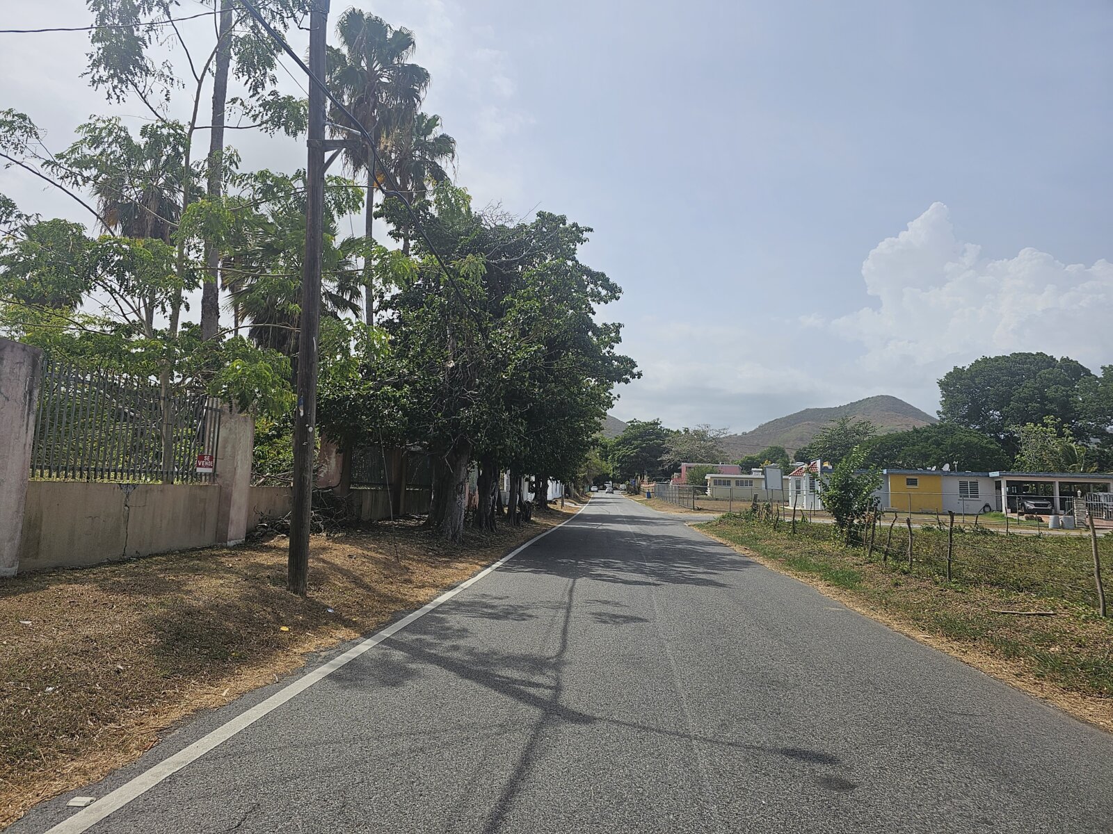 VISTA (3)