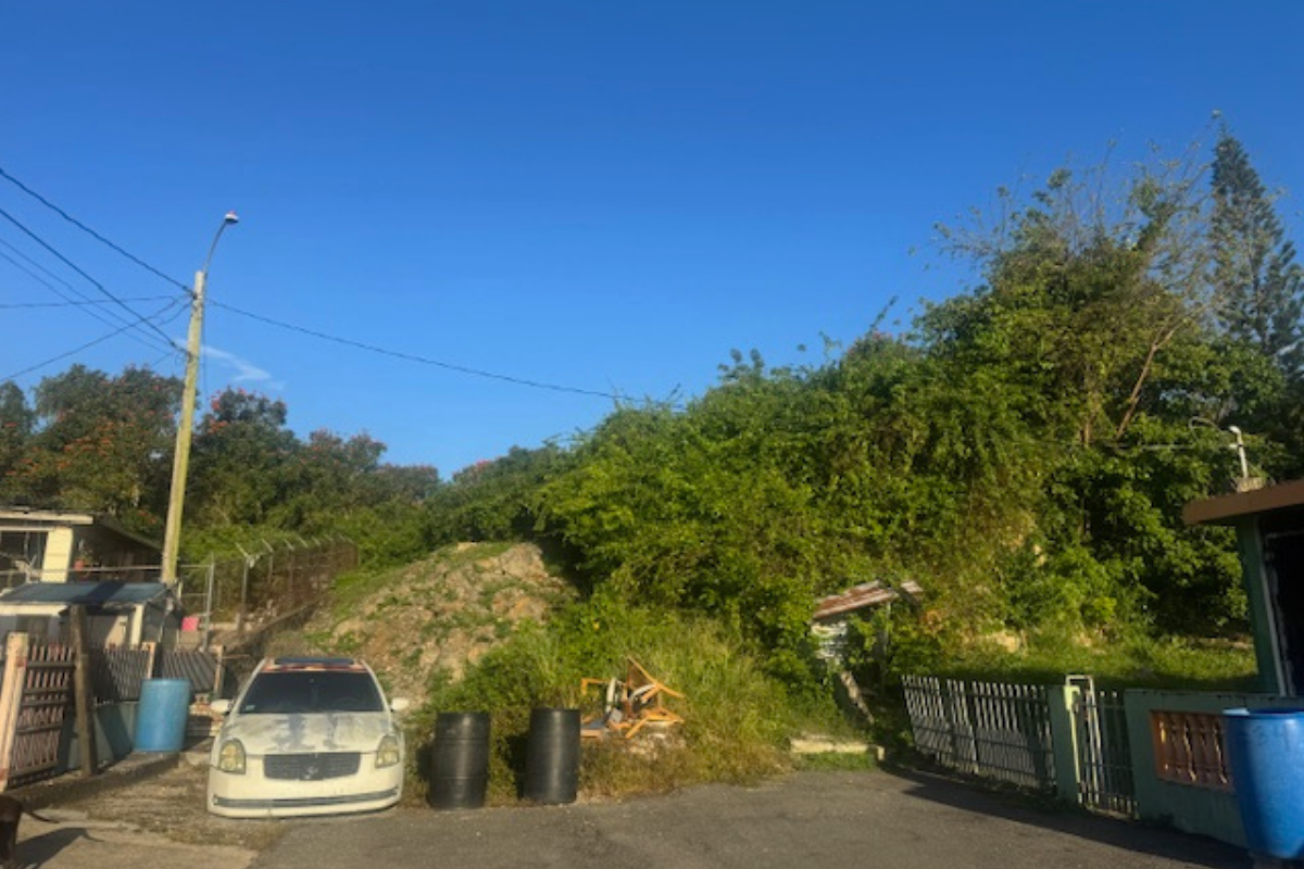 VISTA (3)