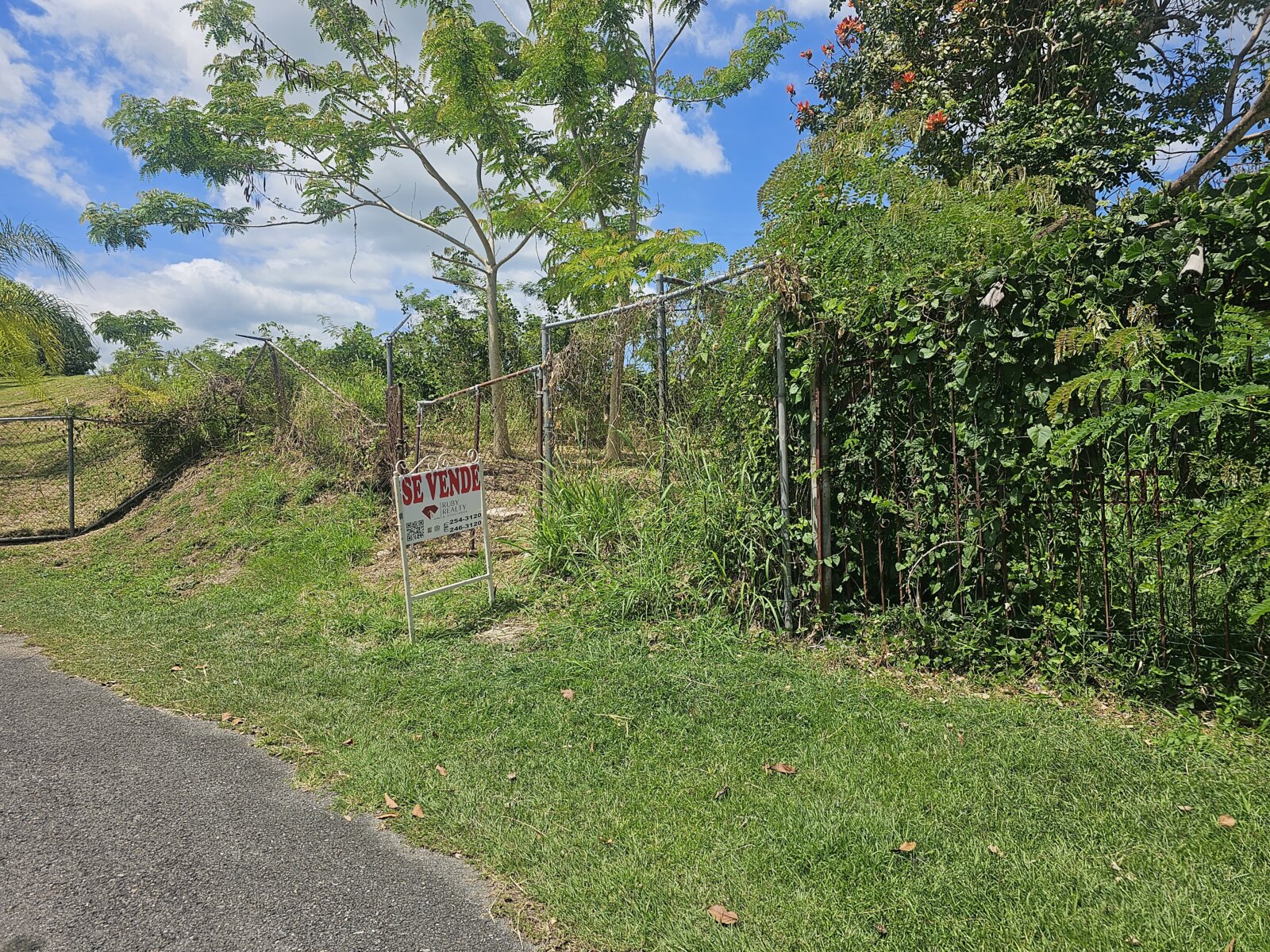 VISTA (4)
