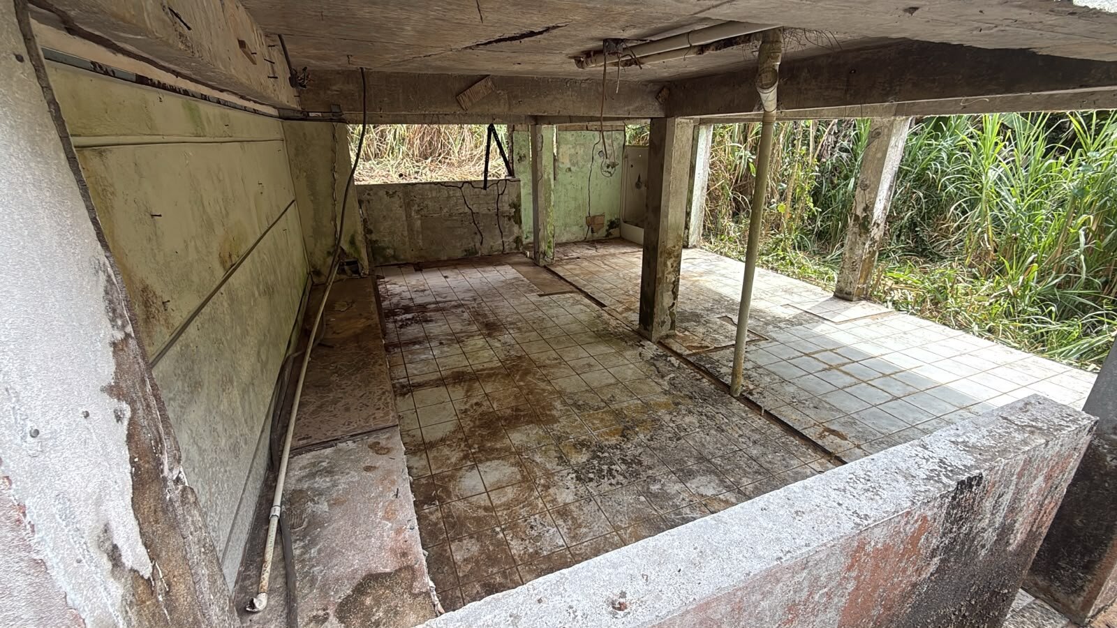 VISTA (4)