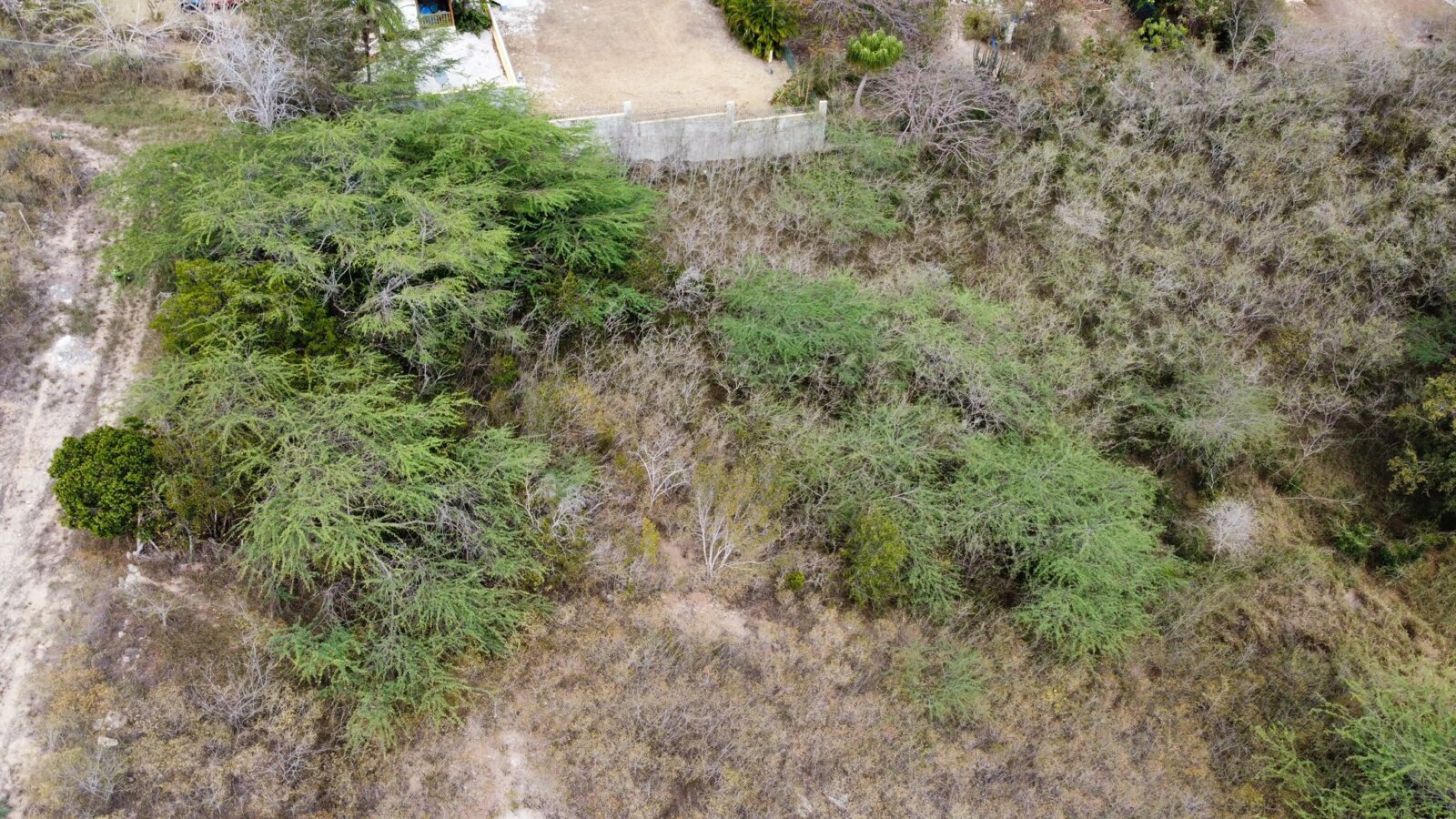 VISTA (6)