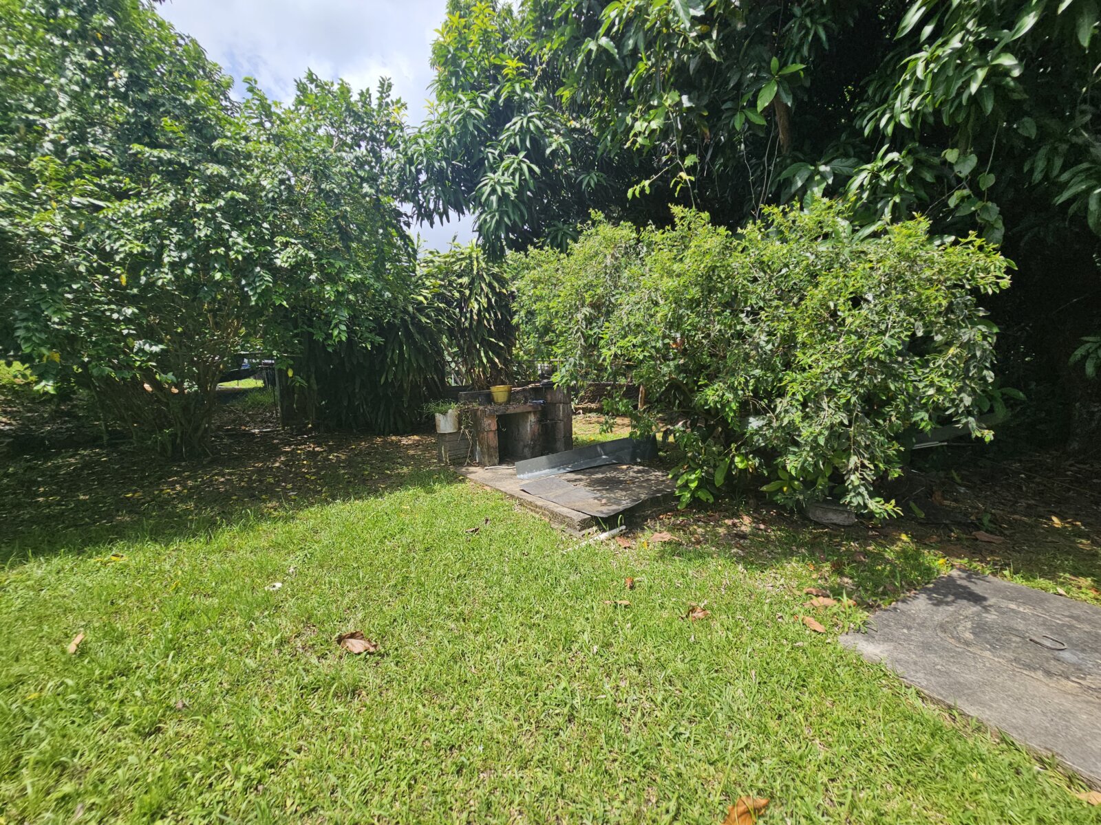 VISTA (7)
