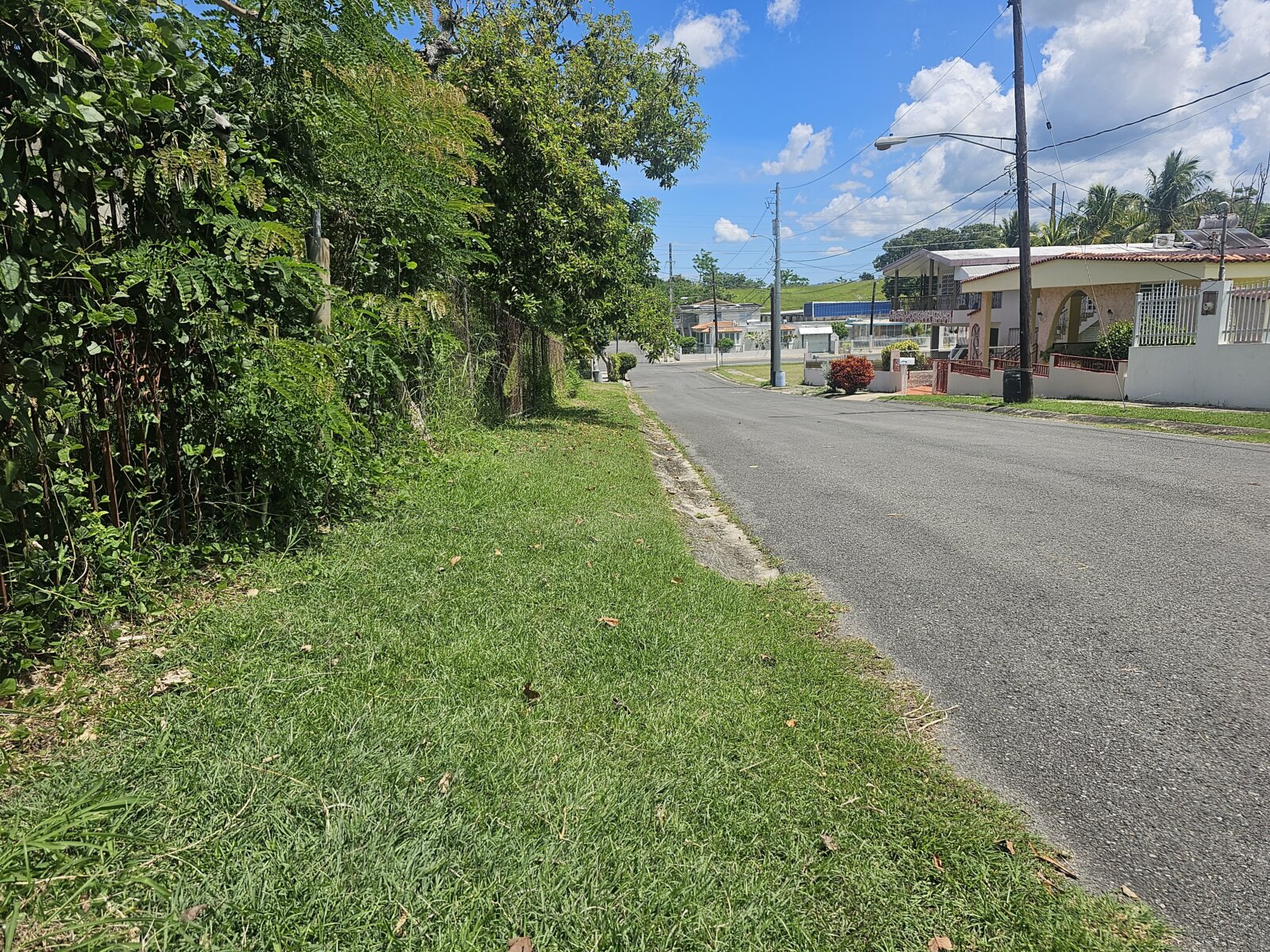 VISTA (8)