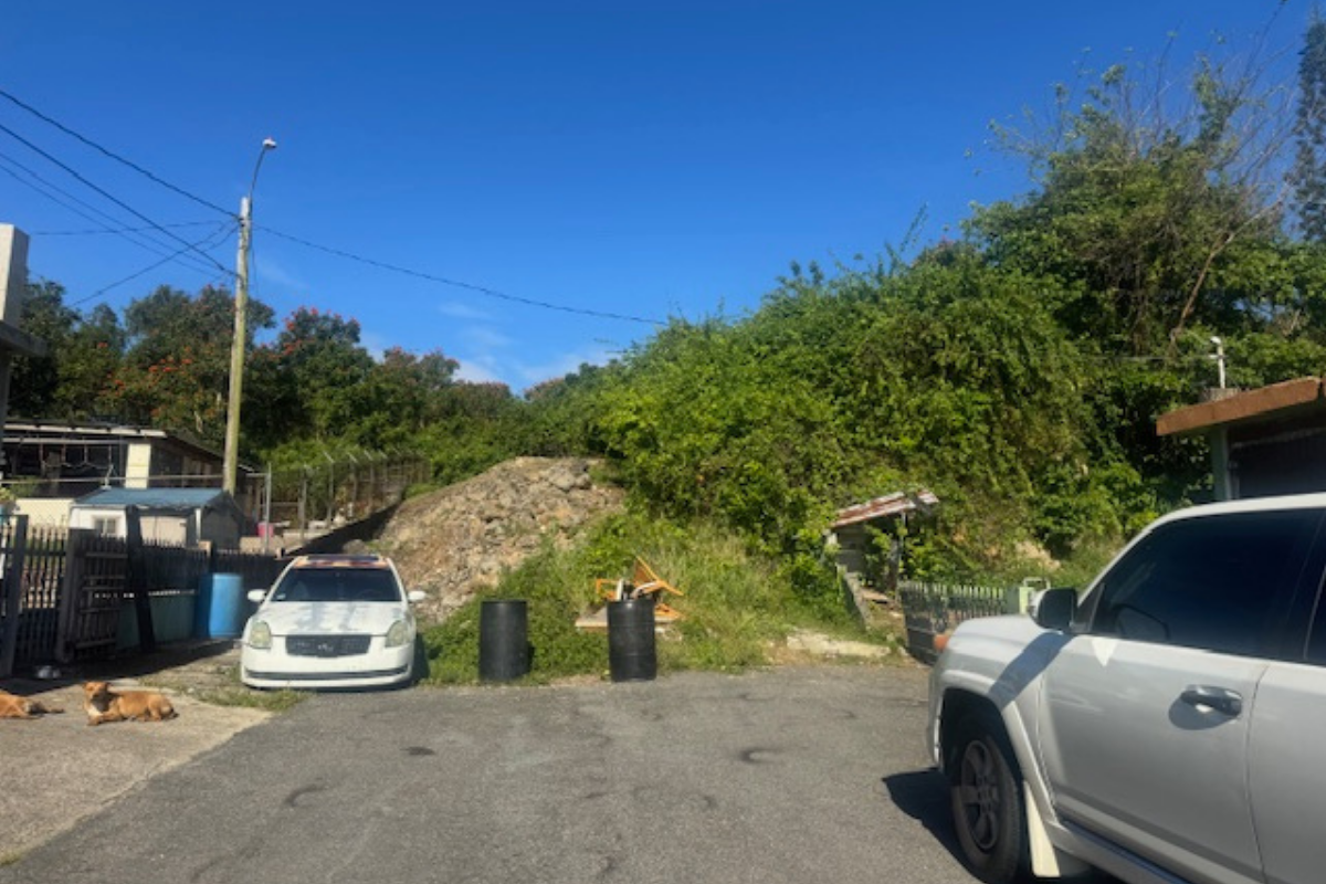 VISTA (8)