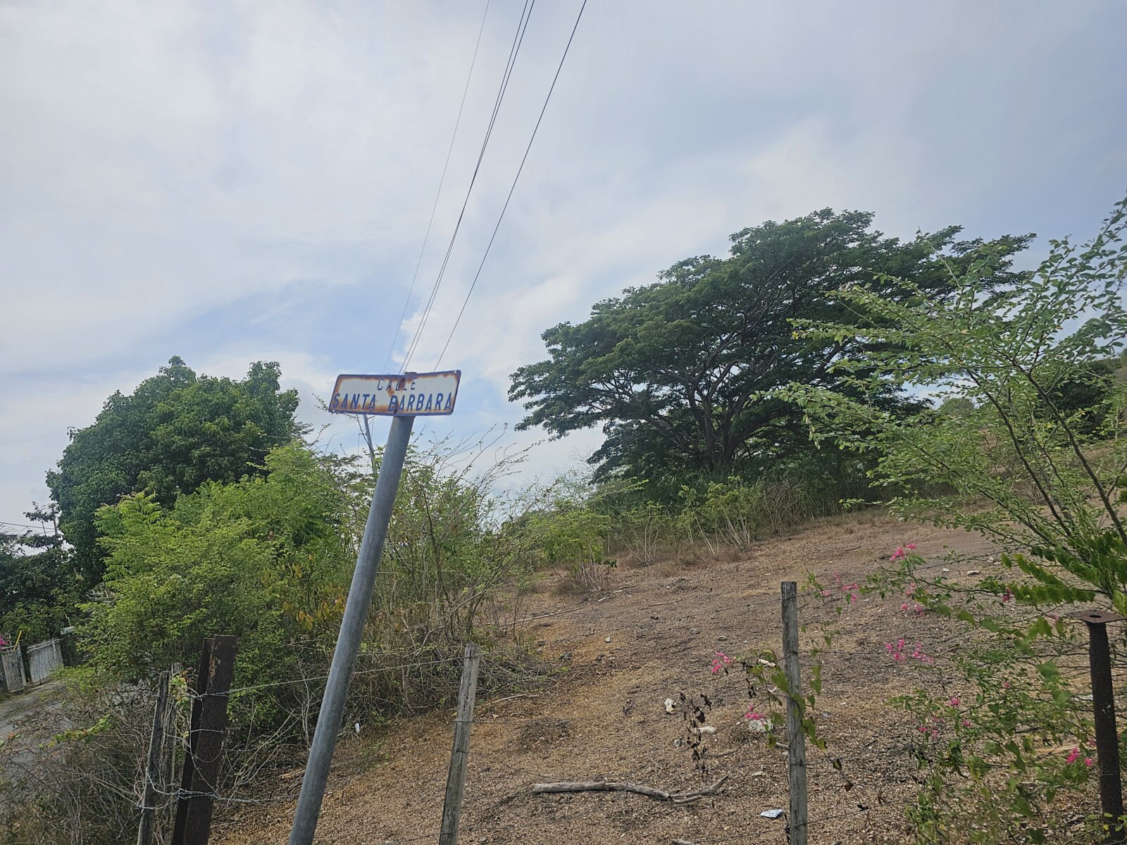 VISTA (8)
