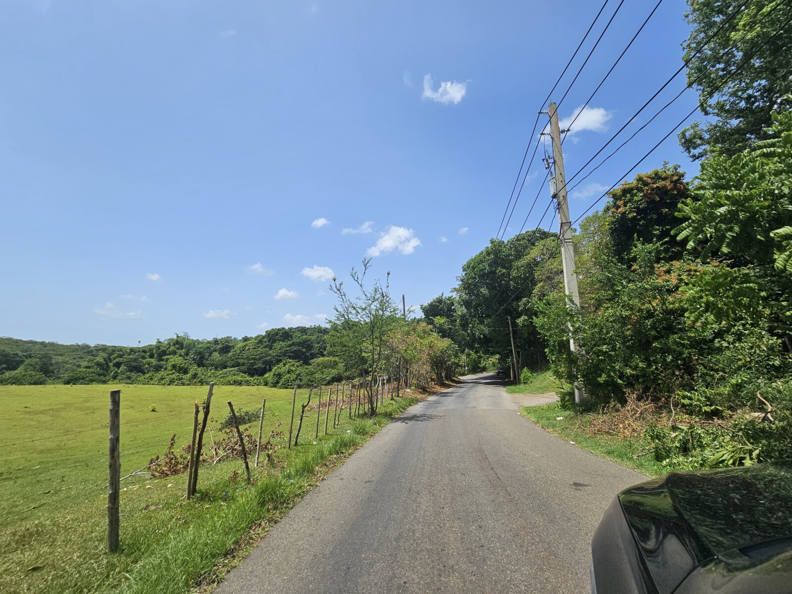 VISTA (8)