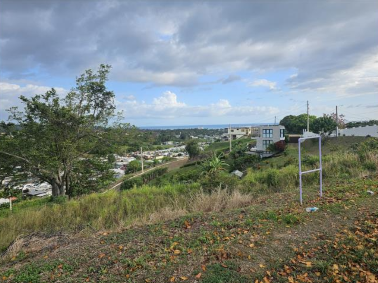 VISTA (9)