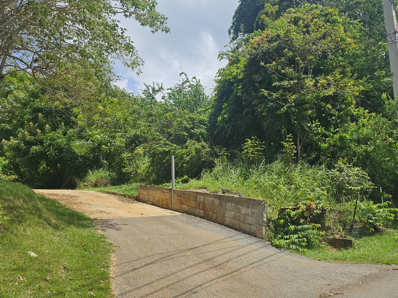 VISTA (9)