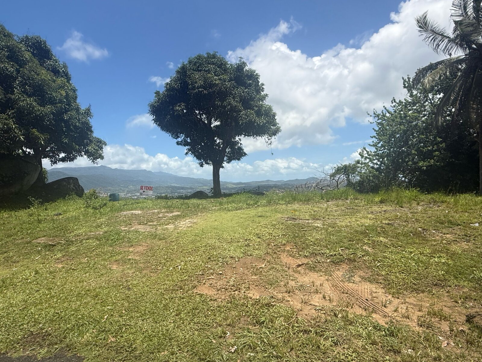 Vista 1
