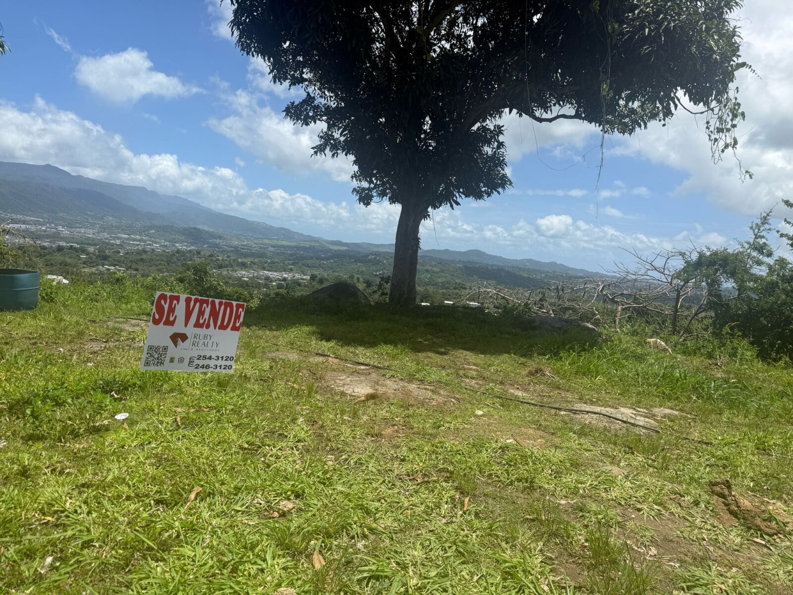 Vista 2