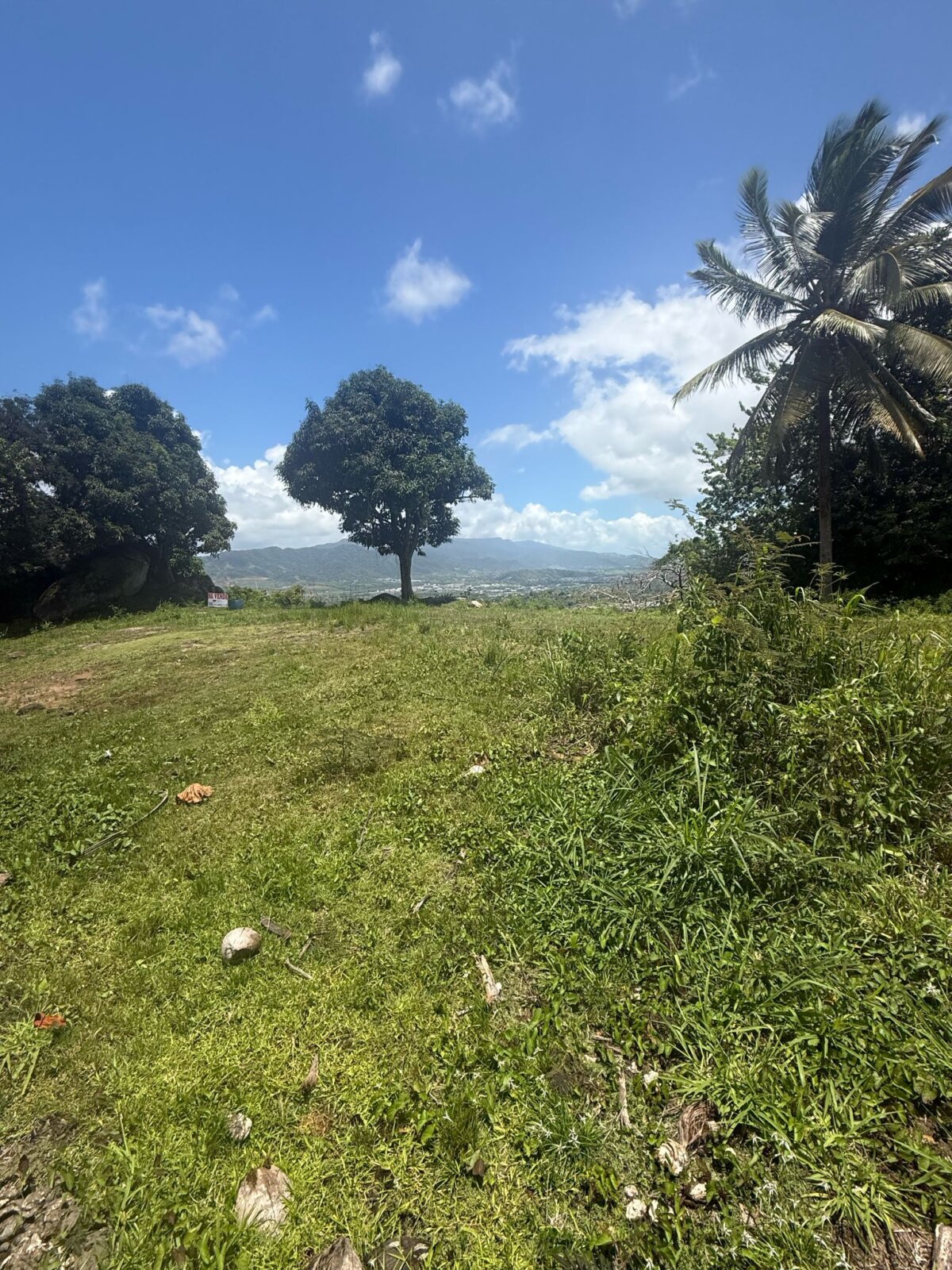 Vista 3