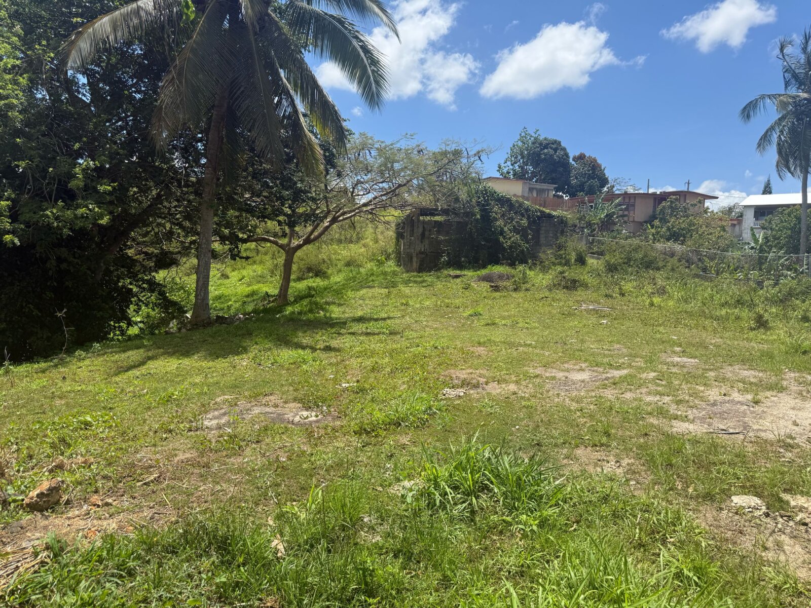 Vista 4