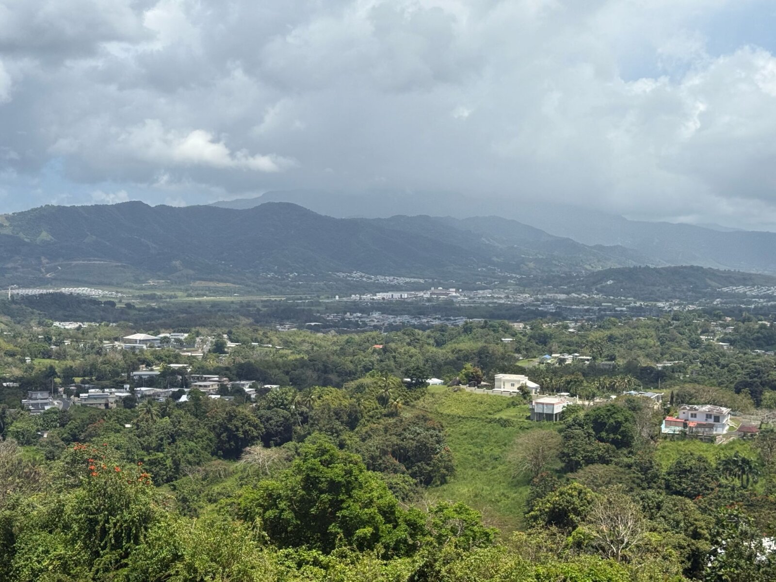 Vista 5
