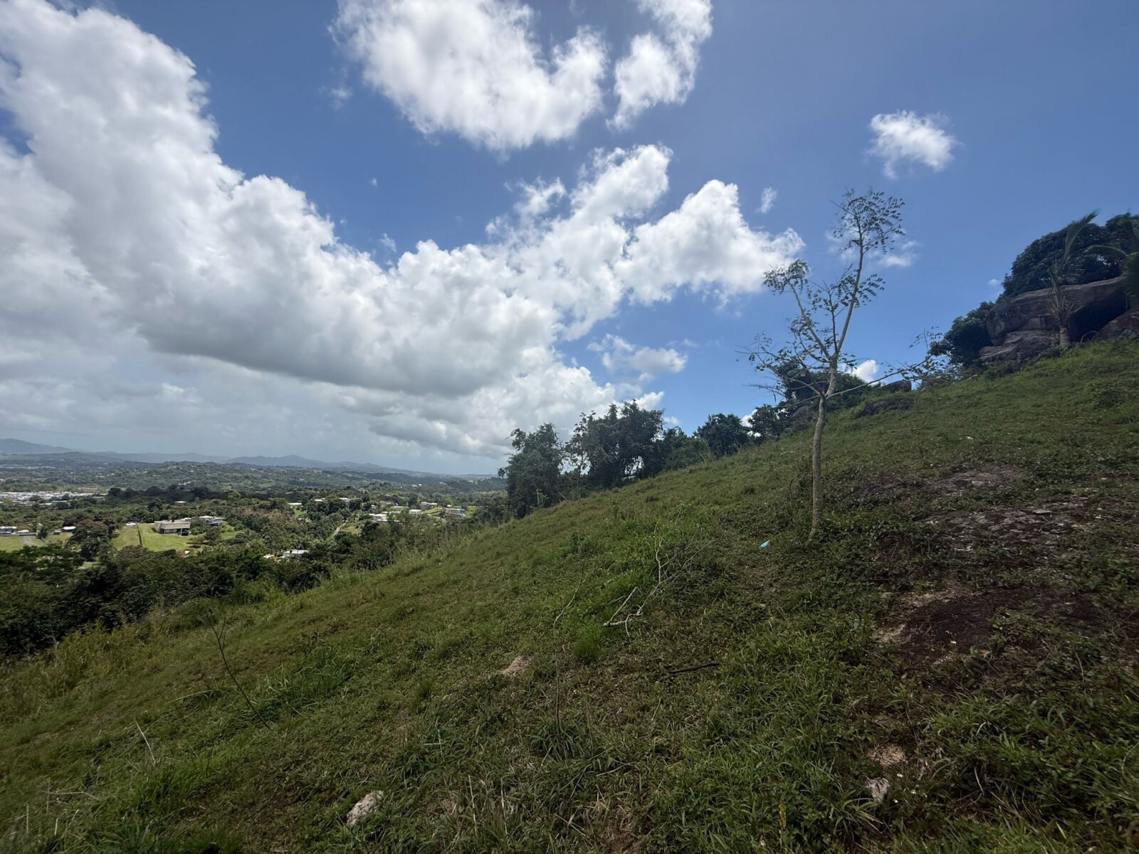 Vista 6