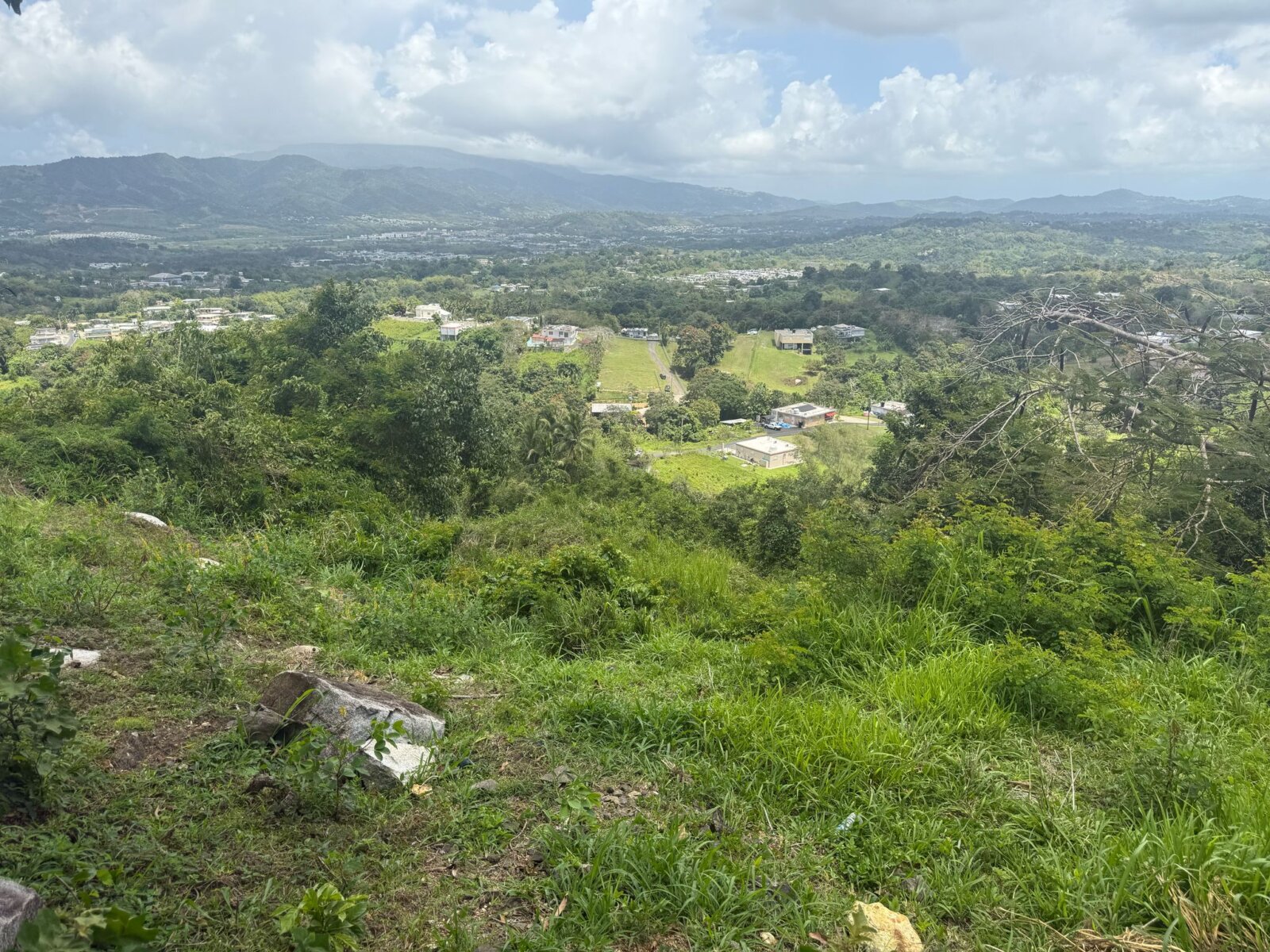 Vista 7