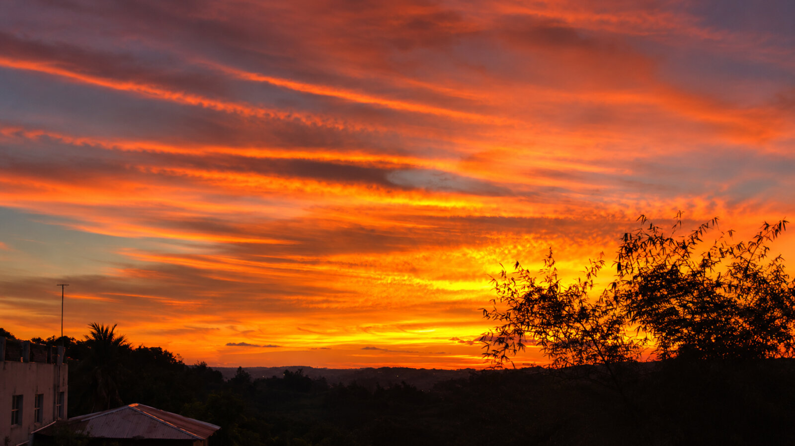 Sunset-fire