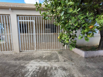 Patio trasero