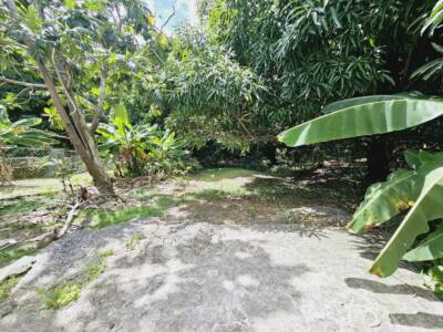 PATIO (1)