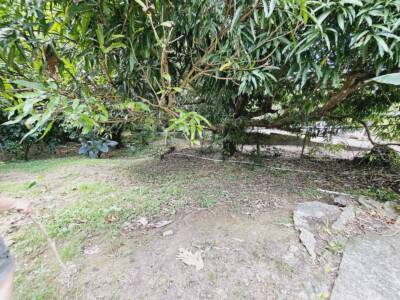 PATIO (2)