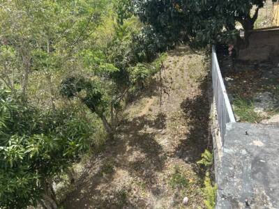 VISTA (10)