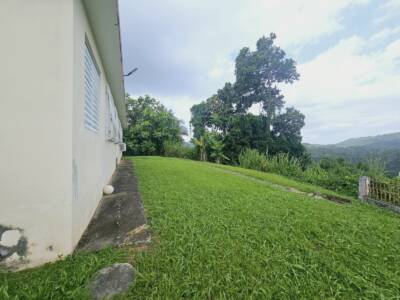 VISTA (11)
