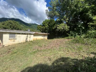VISTA (1)