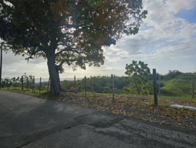 VISTA (2)