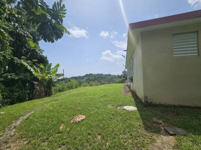 VISTA (6)