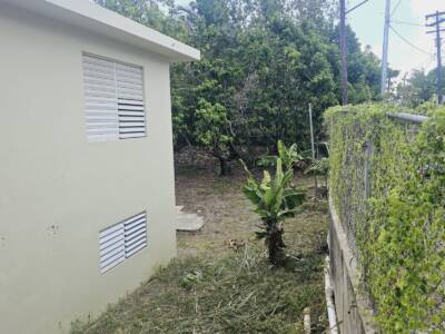VISTA (7)