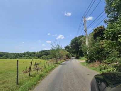 VISTA (8)
